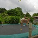 P1070881