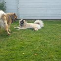 IMG-20160919-WA0004