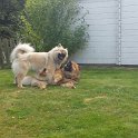 IMG-20160919-WA0006