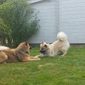 IMG-20160919-WA0007