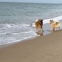 IMG-20160919-WA0008
