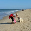 IMG-20160925-WA0048