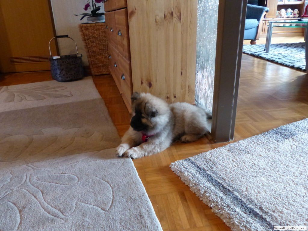 p1040390